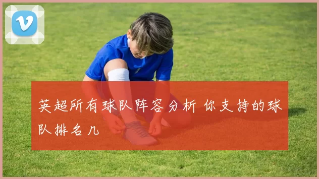 英超所有球队阵容分析 你支持的球队排名几