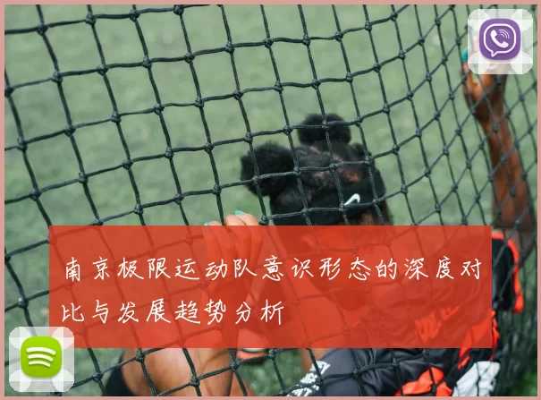 南京极限运动队意识形态的深度对比与发展趋势分析