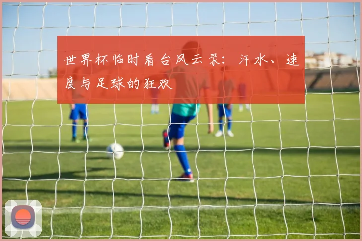 世界杯临时看台风云录：汗水、速度与足球的狂欢