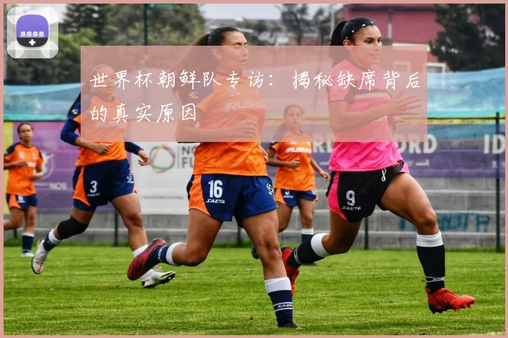 世界杯朝鲜队专访：揭秘缺席背后的真实原因