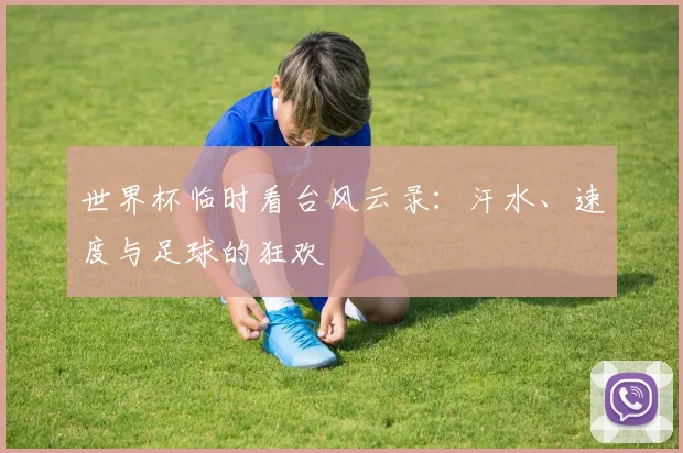 世界杯临时看台风云录：汗水、速度与足球的狂欢