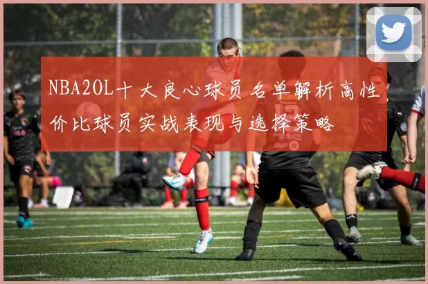 NBA2OL十大良心球员名单解析高性价比球员实战表现与选择策略