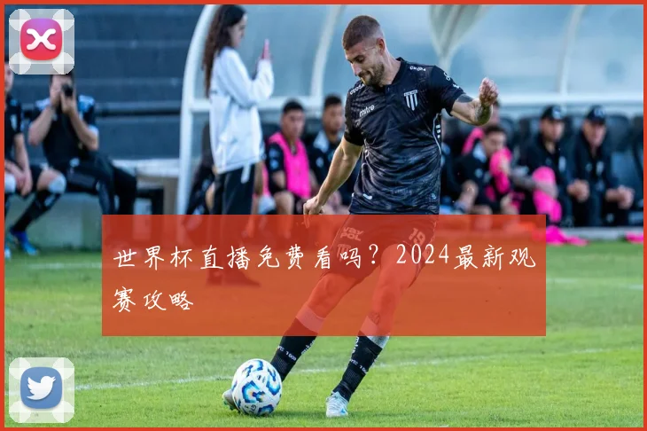 世界杯直播免费看吗？2024最新观赛攻略