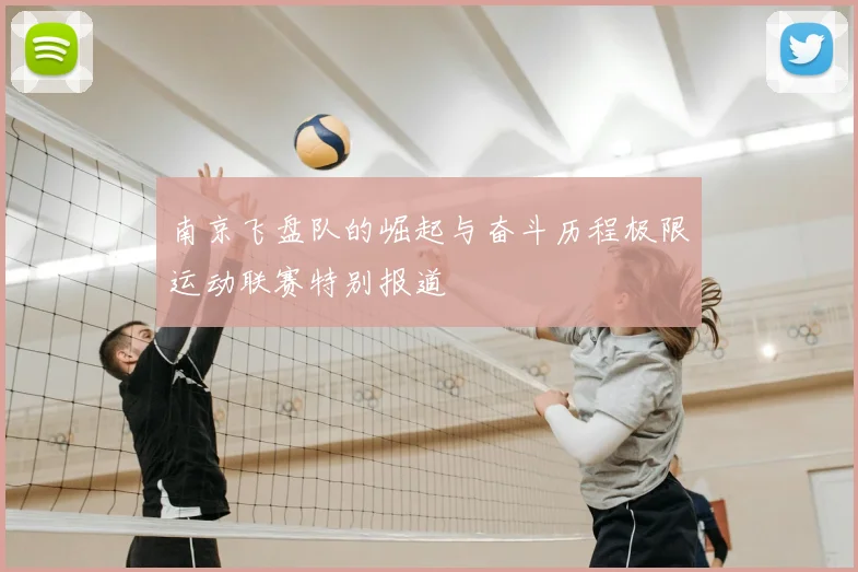 南京飞盘队的崛起与奋斗历程极限运动联赛特别报道