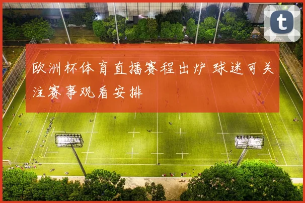欧洲杯体育直播赛程出炉 球迷可关注赛事观看安排