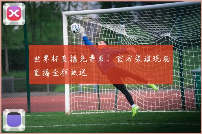 世界杯直播免费看！官方渠道现场直播全程放送