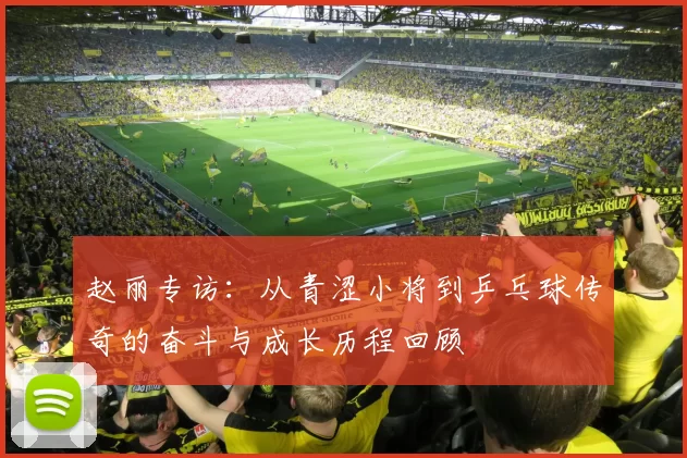 赵丽专访：从青涩小将到乒乓球传奇的奋斗与成长历程回顾