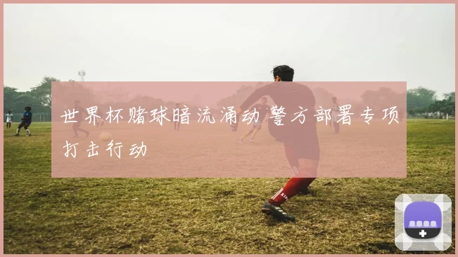 世界杯赌球暗流涌动 警方部署专项打击行动