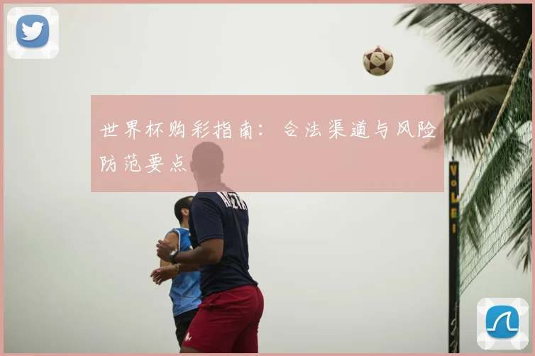 世界杯购彩指南：合法渠道与风险防范要点
