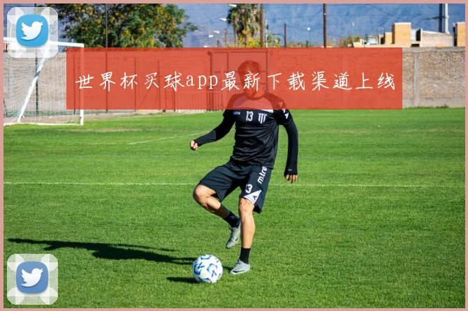 世界杯买球app最新下载渠道上线