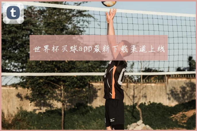 世界杯买球app最新下载渠道上线