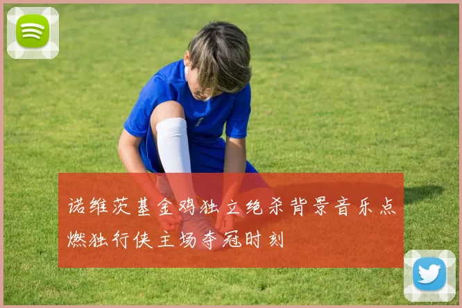 诺维茨基金鸡独立绝杀背景音乐点燃独行侠主场夺冠时刻