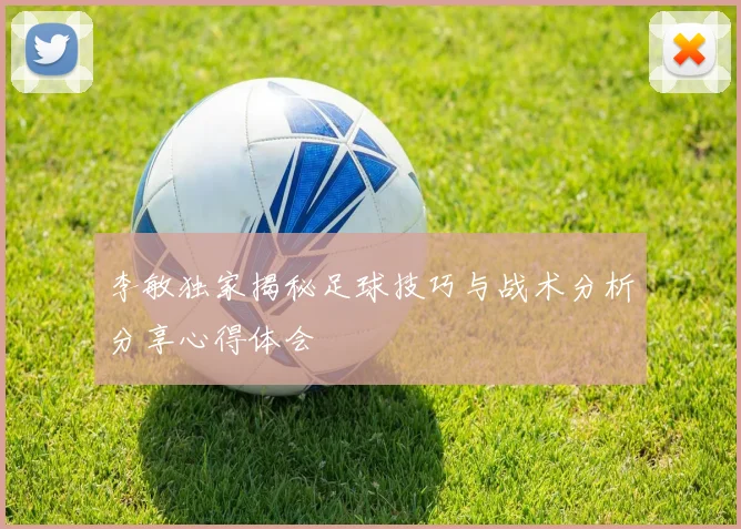 李敏独家揭秘足球技巧与战术分析分享心得体会