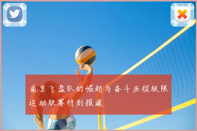 南京飞盘队的崛起与奋斗历程极限运动联赛特别报道